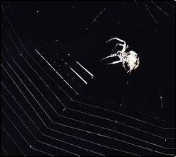 �齫��Ͳ�����׷�����Ƶ������ҵ�Ҽ�����󱻲������֢ ����40������...